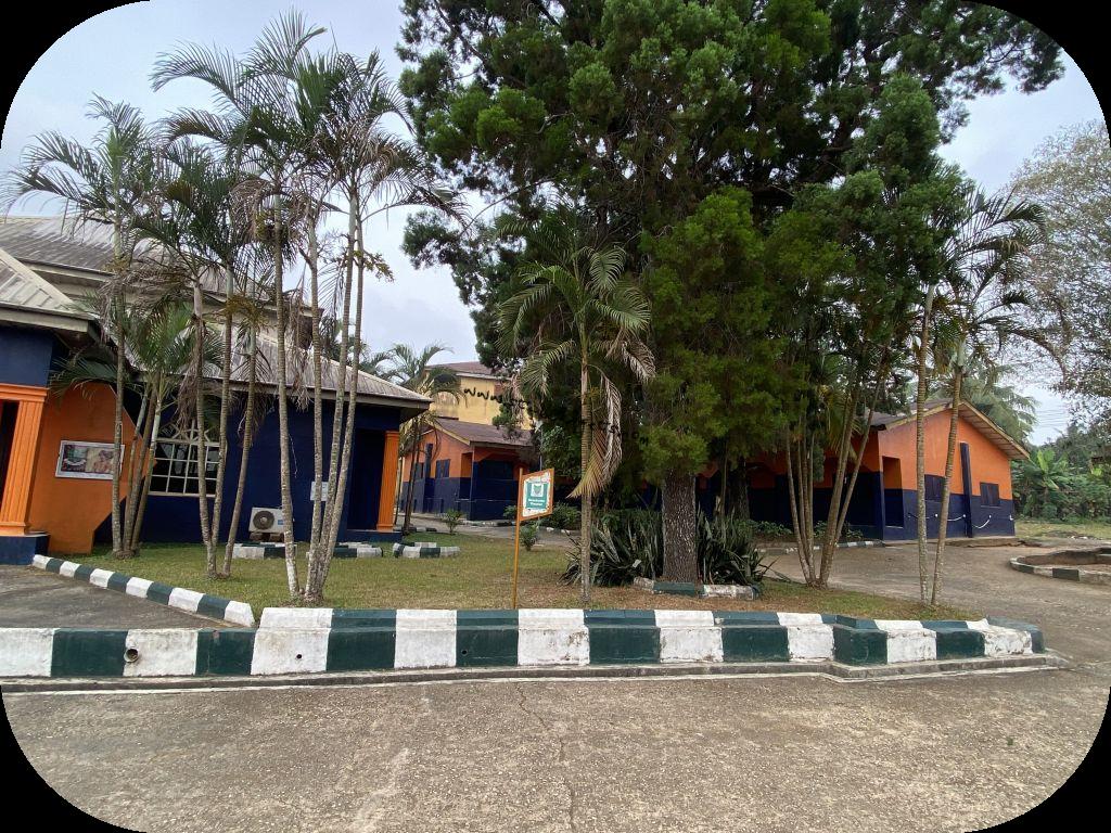 Around The Mall